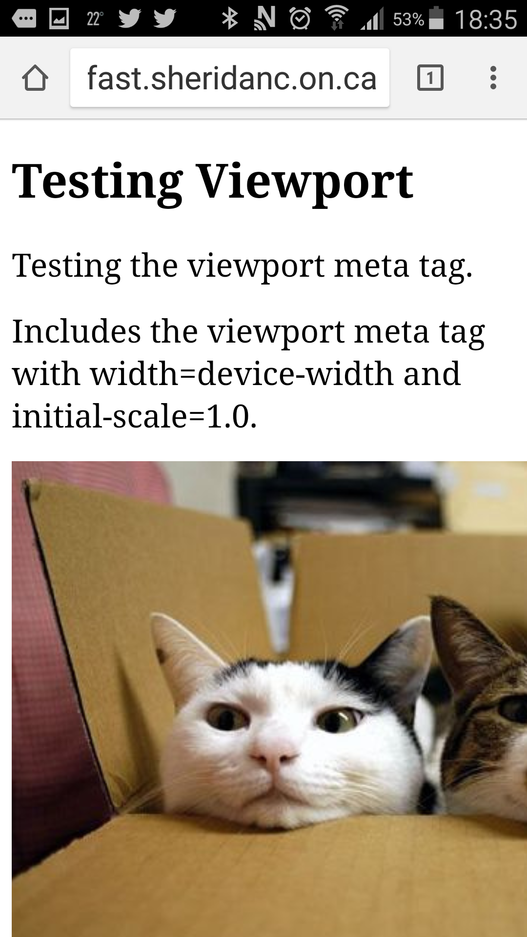 screen shot of page with complete viewport meta tag