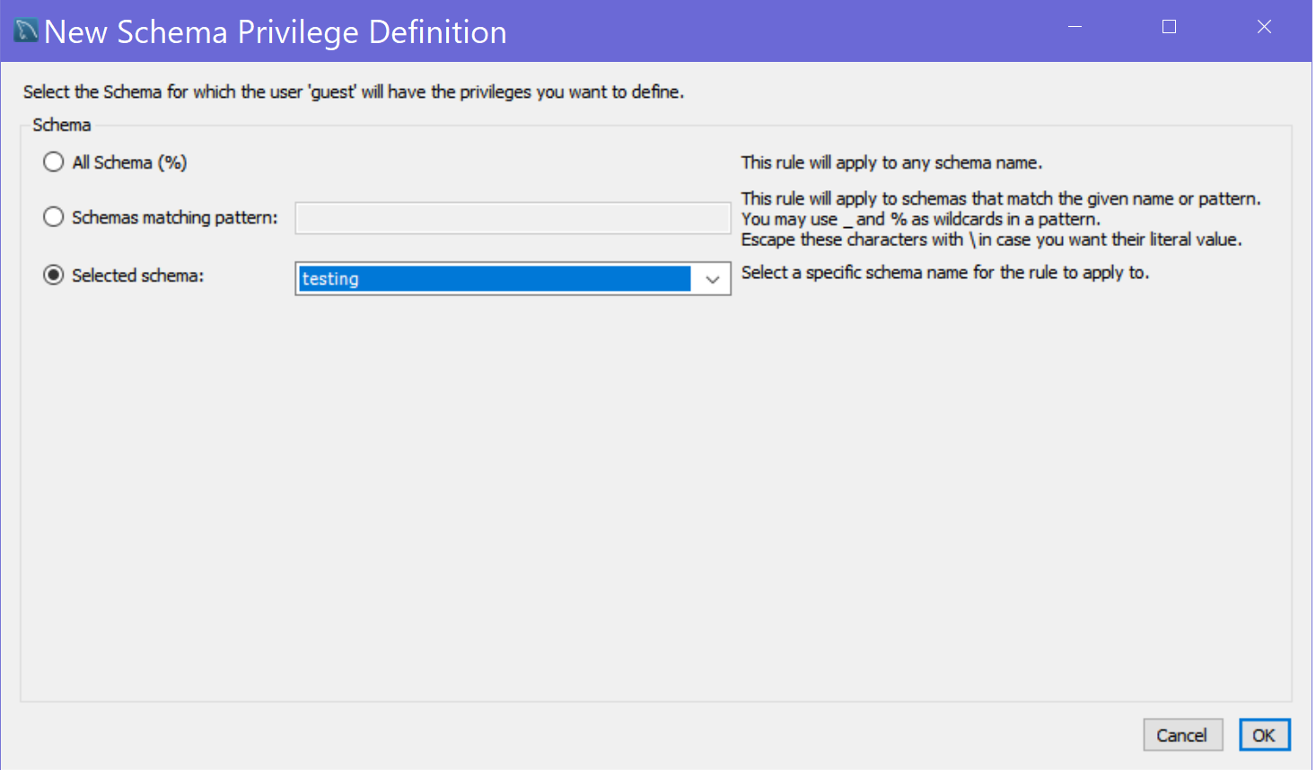 schema privileges definition window