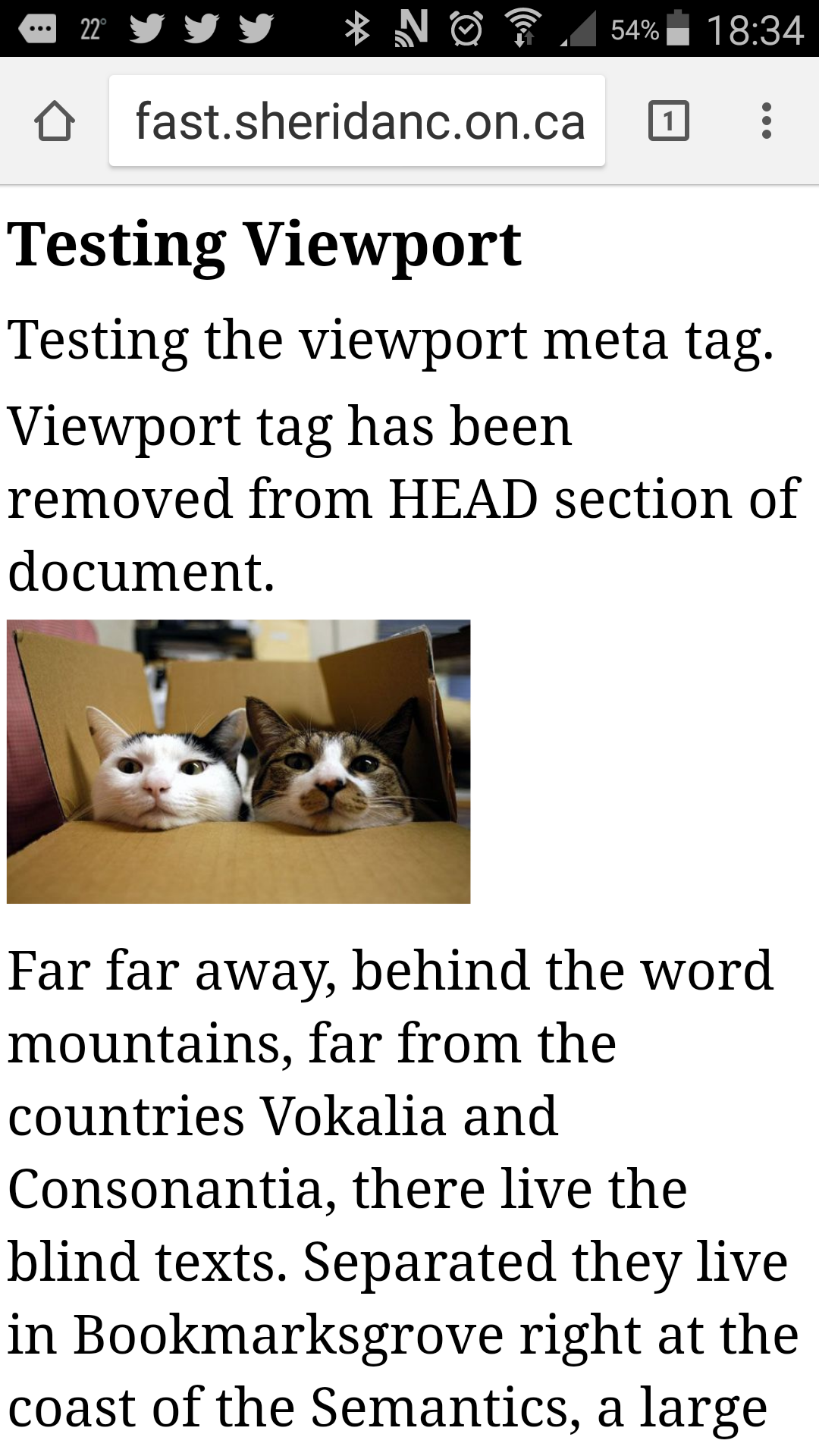screen shot of page with no viewport meta tag