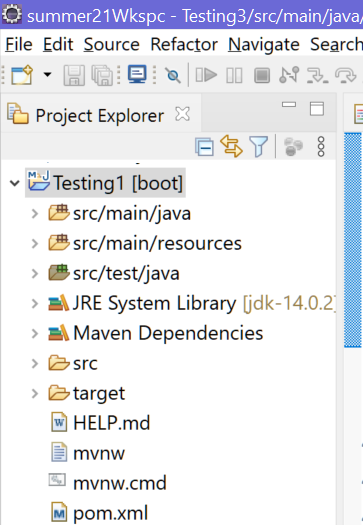 the various nodes in the project inside project explorer