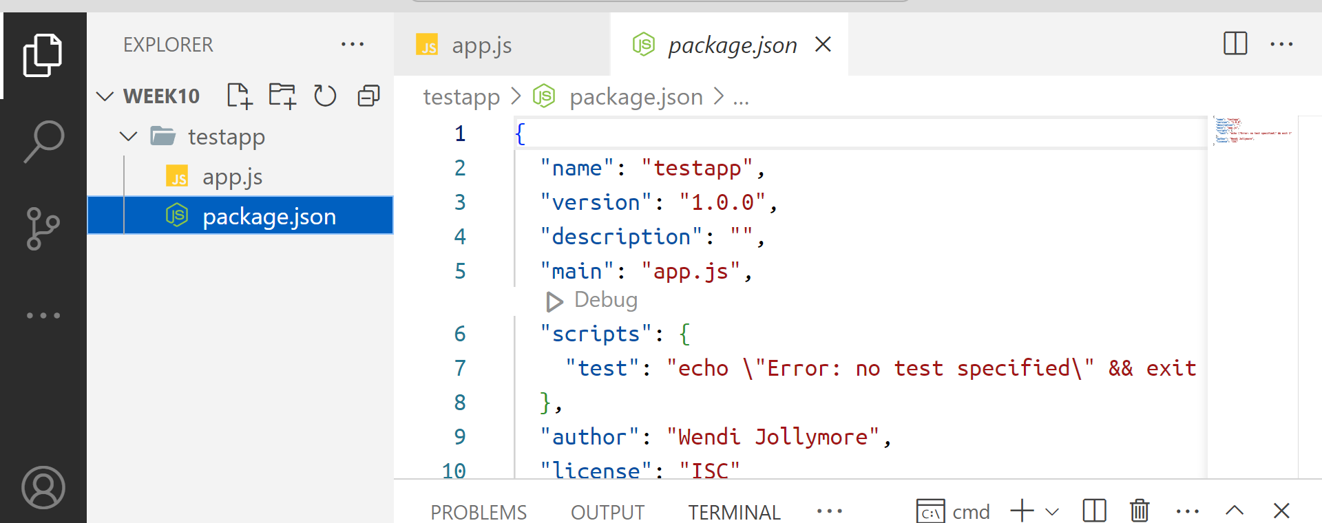 the package.json file